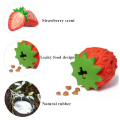 Strawberry interactive fuyant goard puzzle Puzzle